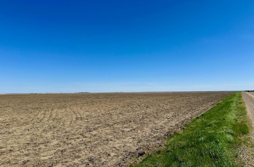 Rural Address, Caledonia Rm No. 99, Saskatchewan S0H 0C0, ,Farm,For Sale,Avonlea 593 acres Grain Farmland (Caledonia Farm),Rural Address,SK986563