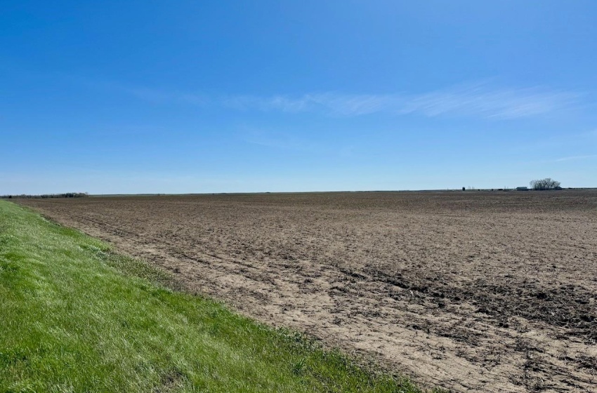 Rural Address, Caledonia Rm No. 99, Saskatchewan S0H 0C0, ,Farm,For Sale,Avonlea 593 acres Grain Farmland (Caledonia Farm),Rural Address,SK986563