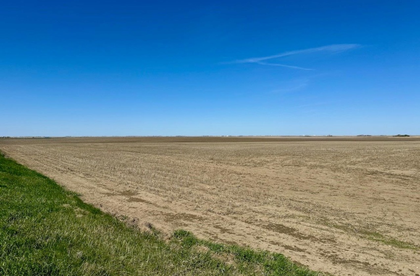 Rural Address, Caledonia Rm No. 99, Saskatchewan S0H 0C0, ,Farm,For Sale,Avonlea 593 acres Grain Farmland (Caledonia Farm),Rural Address,SK986563