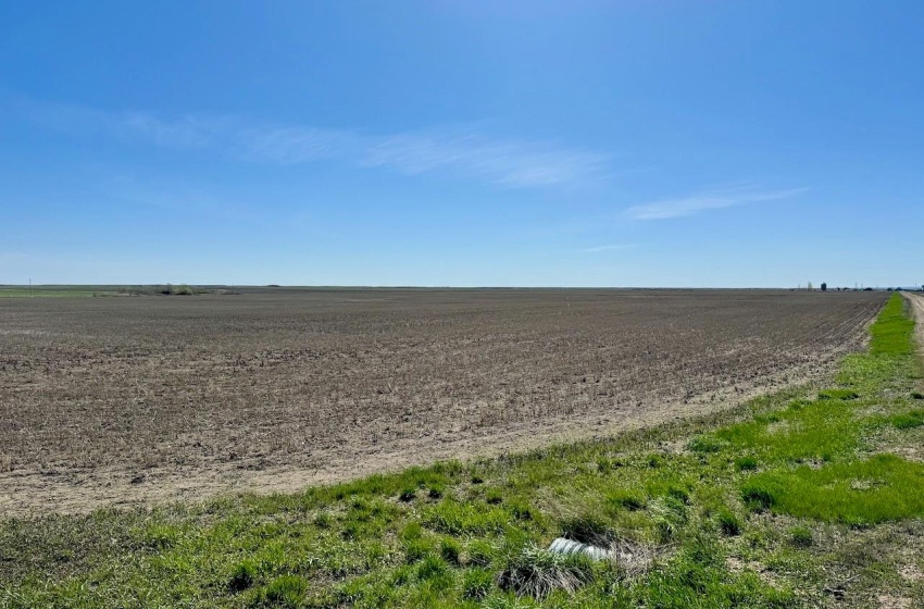 Rural Address, Caledonia Rm No. 99, Saskatchewan S0H 0C0, ,Farm,For Sale,Avonlea 593 acres Grain Farmland (Caledonia Farm),Rural Address,SK986563