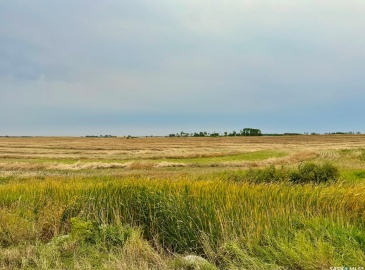 Rural Address, Emerald Rm No. 277, Saskatchewan S0A 0G0, ,Farm,For Sale,Bankend 319 acres Grain Farmland,Rural Address,SK986589