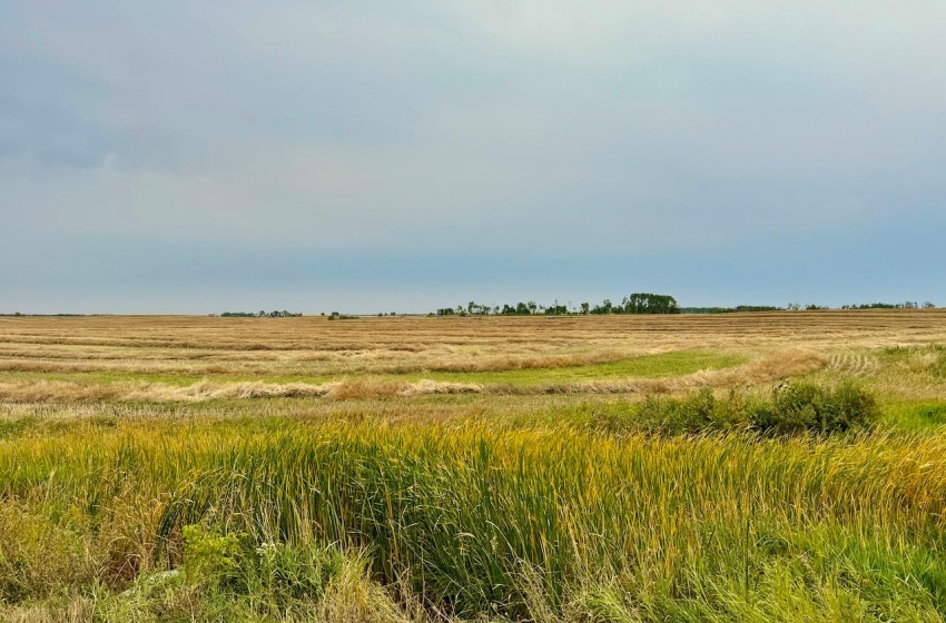 Rural Address, Emerald Rm No. 277, Saskatchewan S0A 0G0, ,Farm,For Sale,Bankend 319 acres Grain Farmland,Rural Address,SK986589