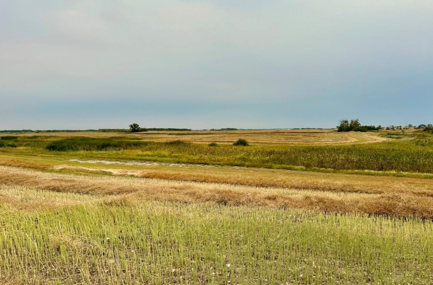 Rural Address, Emerald Rm No. 277, Saskatchewan S0A 0G0, ,Farm,For Sale,Bankend 319 acres Grain Farmland,Rural Address,SK986589