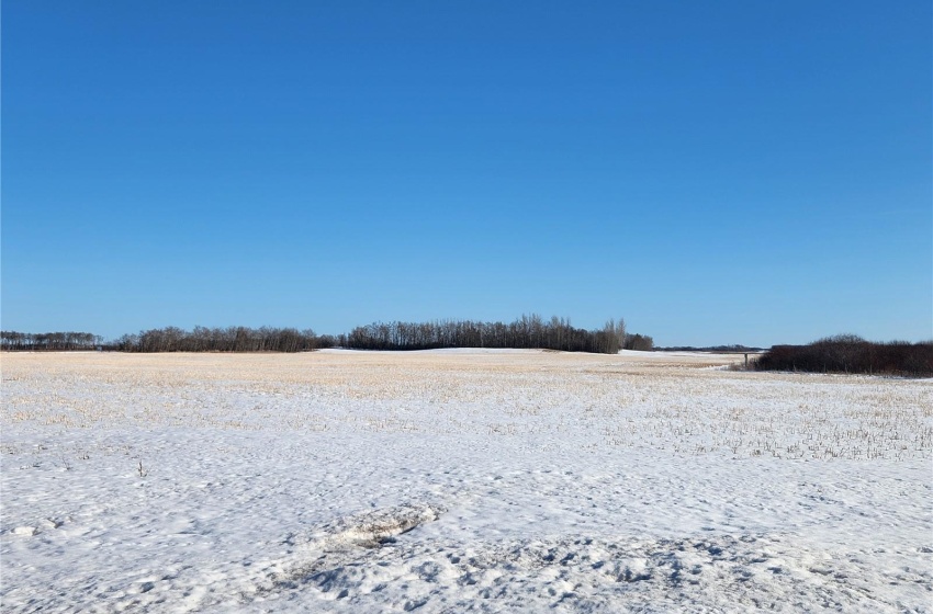 View of yard with a rural view