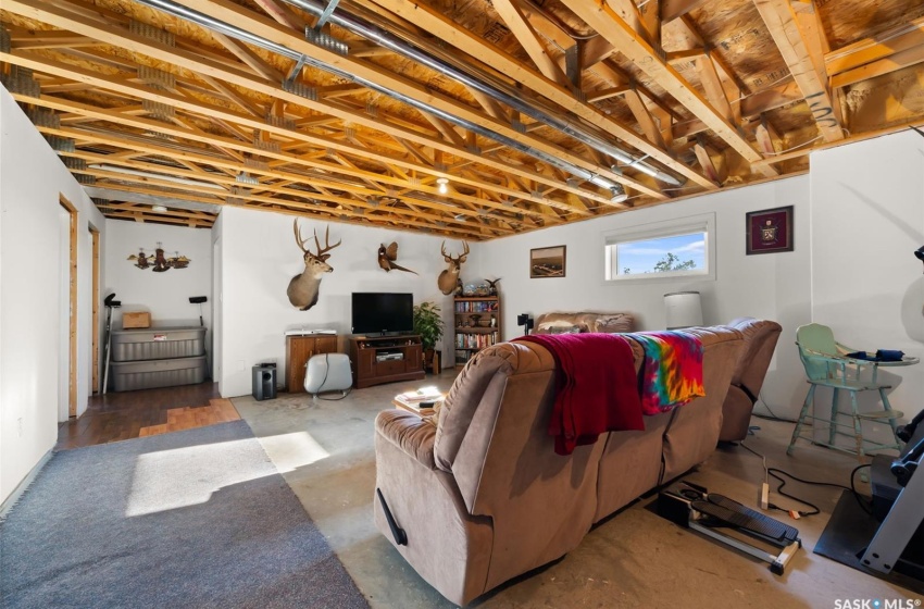 Basement Family Room