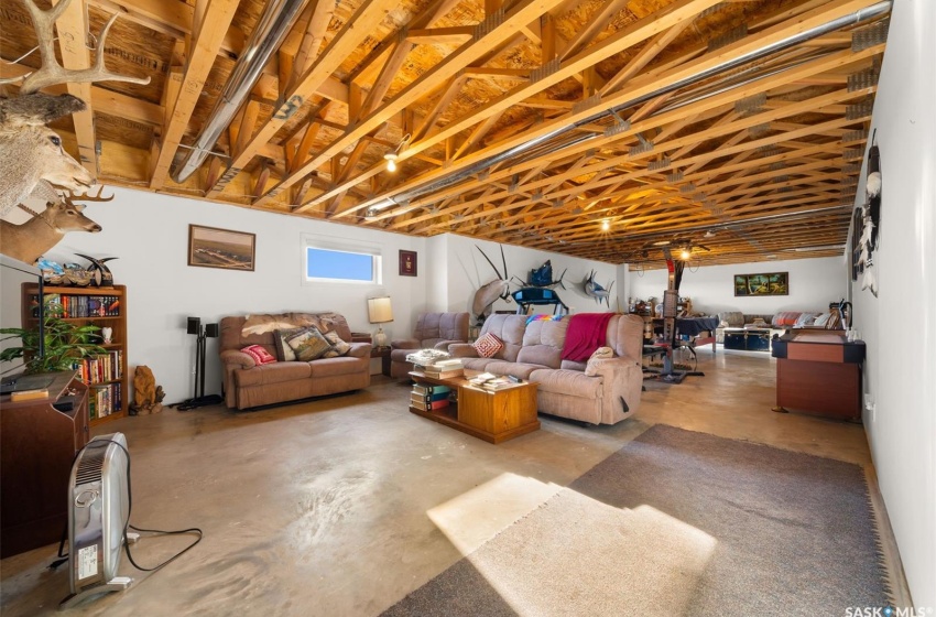 Basement Family Room