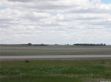 Rural Address, Mccraney Rm No. 282, Saskatchewan S0G 2N0, ,Farm,For Sale,Yelich Farm 100 A,Rural Address,SK987408