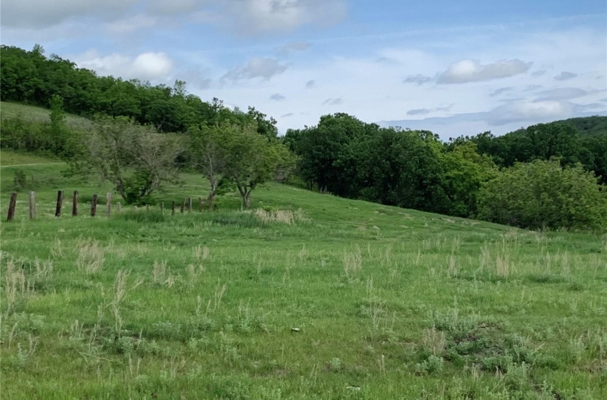 View of local wilderness with a rural view