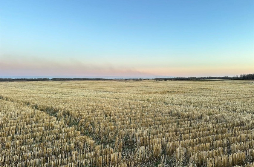 Nature at dusk featuring a rural view