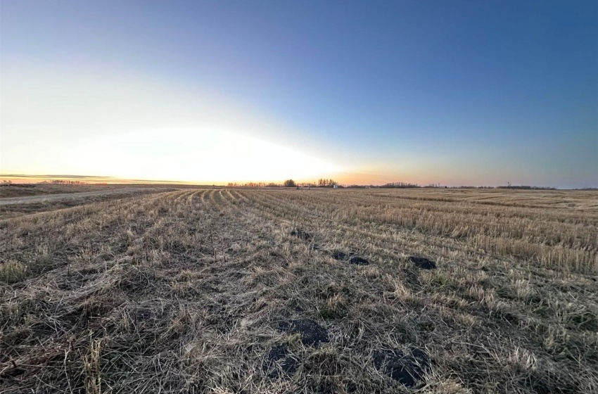 Nature at dusk with a rural view