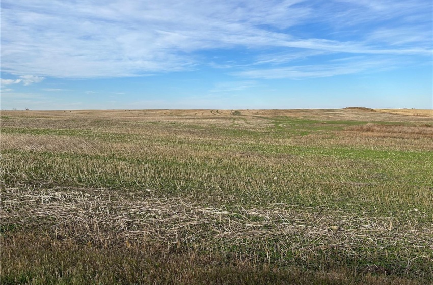 Rural Address, Colonsay Rm No. 342, Saskatchewan S0K 0Z0, ,Farm,For Sale,RM of Colonsay No. 342 - 159.46 acres,Rural Address,SK987747