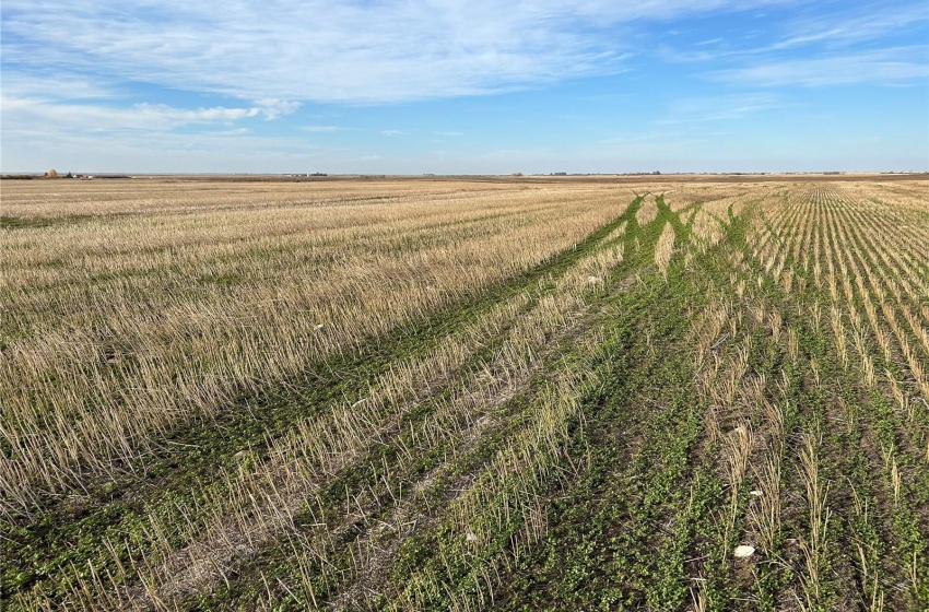 Rural Address, Colonsay Rm No. 342, Saskatchewan S0K 0Z0, ,Farm,For Sale,RM of Colonsay No. 342 - 159.46 acres,Rural Address,SK987747