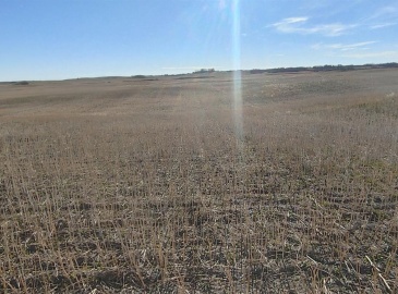 Rural Address, Aberdeen Rm No. 373, Saskatchewan S7N 4N6, ,Farm,For Sale,R&C land,Rural Address,SK987939