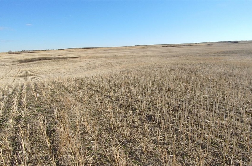 Rural Address, Aberdeen Rm No. 373, Saskatchewan S7N 4N6, ,Farm,For Sale,R&C land,Rural Address,SK987939