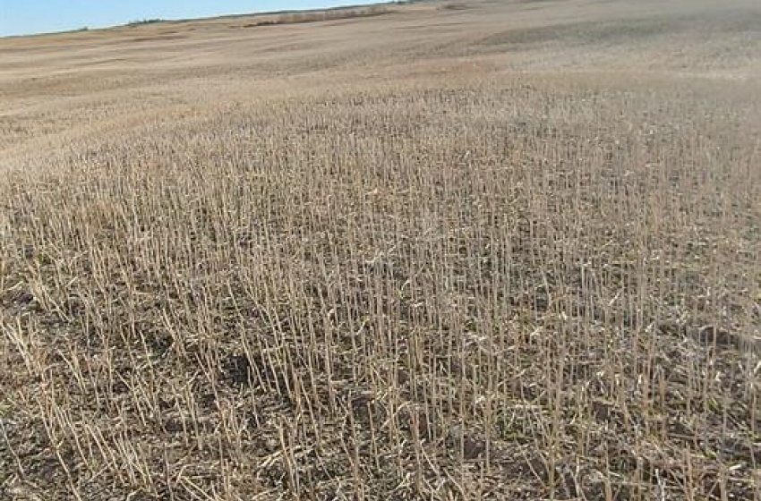 Rural Address, Aberdeen Rm No. 373, Saskatchewan S7N 4N6, ,Farm,For Sale,R&C land,Rural Address,SK987939