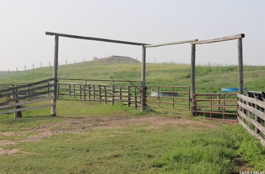 Calving Barn June 13, 2023