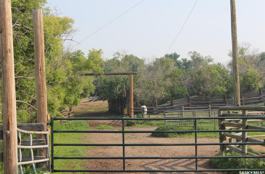 Calving Barn June 13, 2023