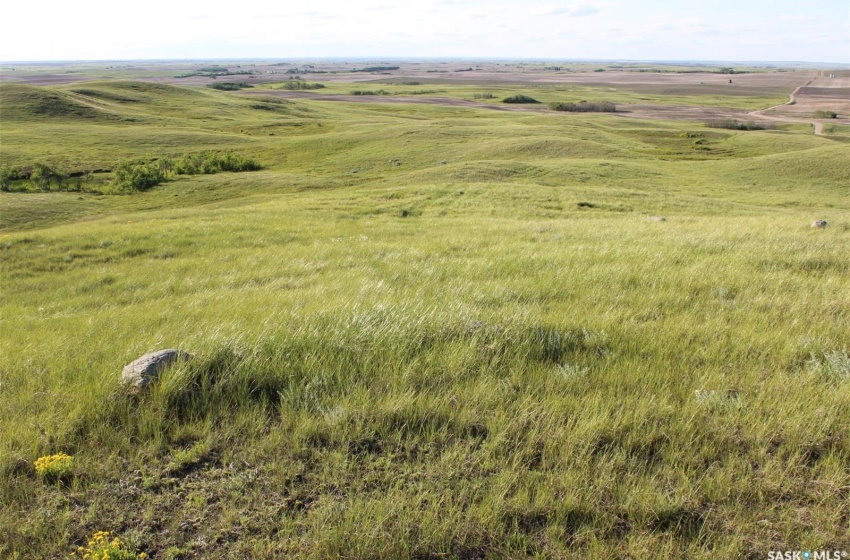 Rural Address, Lacadena Rm No. 228, Saskatchewan S0L 1V0, ,Farm,For Sale,Large Cattle Ranch,Rural Address,SK988593