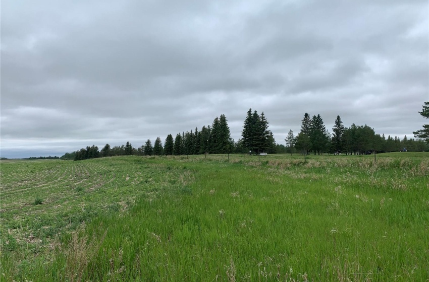 46 HWY Rural Address, Pilot Butte, Saskatchewan S0G 4A0, ,Farm,For Sale,Hwy 46 at Tor Hill Golf Course,Rural Address,SK988998