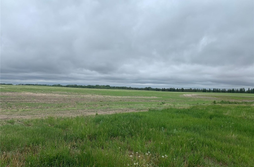 46 HWY Rural Address, Pilot Butte, Saskatchewan S0G 4A0, ,Farm,For Sale,Hwy 46 at Tor Hill Golf Course,Rural Address,SK988998