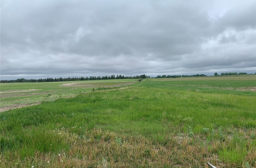 46 HWY Rural Address, Pilot Butte, Saskatchewan S0G 4A0, ,Farm,For Sale,Hwy 46 at Tor Hill Golf Course,Rural Address,SK988998