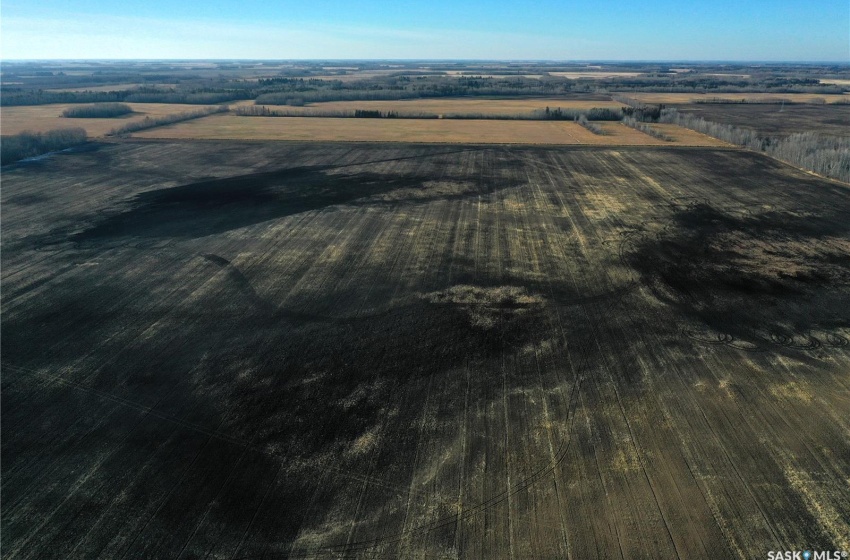 Rural Address, Moose Range Rm No. 486, Saskatchewan S0E 1E0, ,Farm,For Sale,Puszkarenko Farm 1/4 section,Rural Address,SK989039