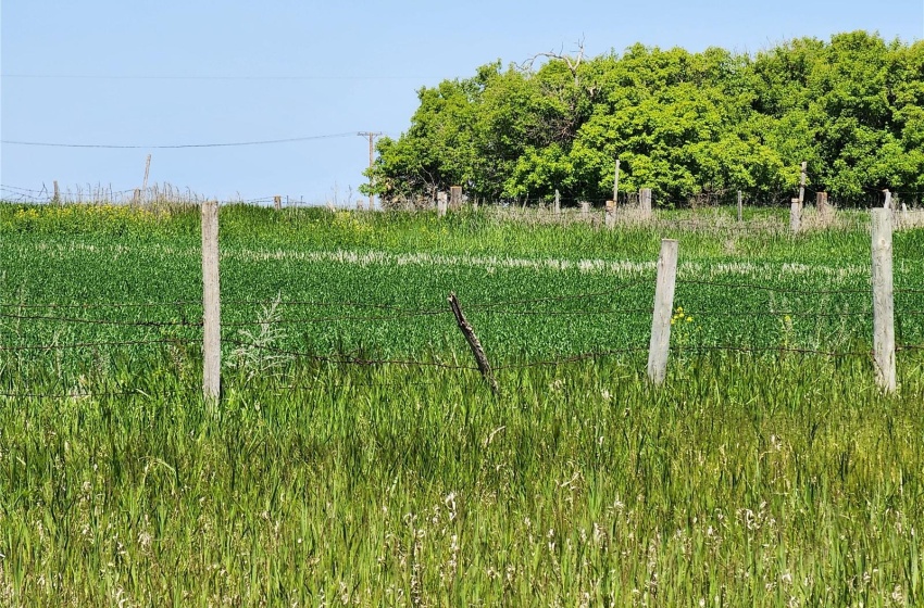 View of yard with a rural view