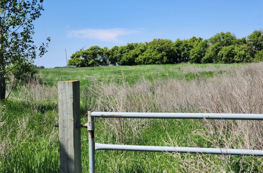 View of yard featuring a rural view