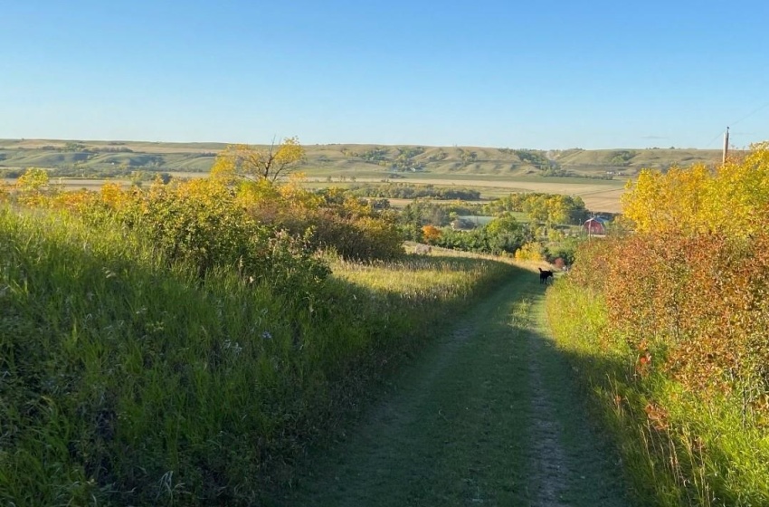 Rural Address, Lumsden Rm No. 189, Saskatchewan S0G 3C0, 4 Bedrooms Bedrooms, 20 Rooms Rooms,6 BathroomsBathrooms,Acreage,For Sale,Lumsden Acreage,Rural Address,SK985450