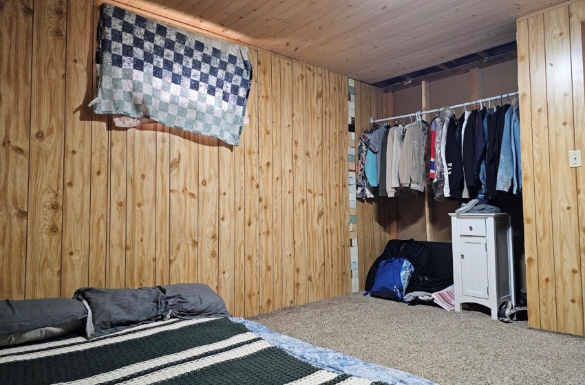 Basement Bedroom