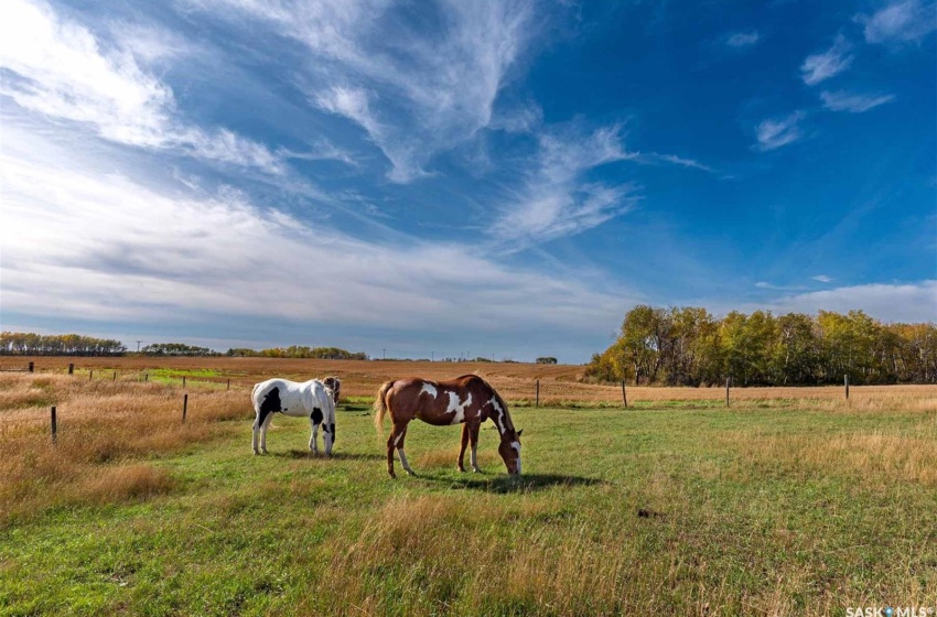 6096 Clarence AVENUE, Corman Park Rm No. 344, Saskatchewan S7K 1M2, 4 Bedrooms Bedrooms, 18 Rooms Rooms,4 BathroomsBathrooms,Acreage,For Sale,CYCA Acreage,Clarence,SK986168