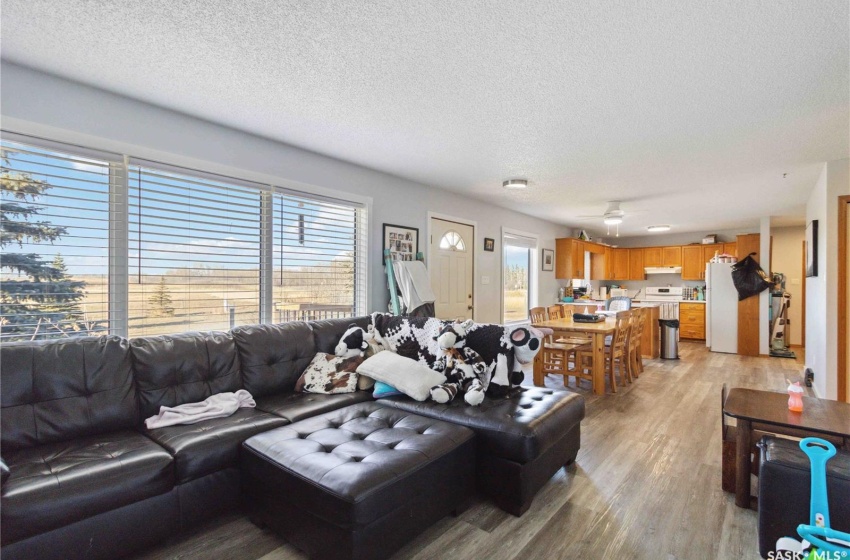 Living room featuring a textured ceiling and vinyl plank flooring