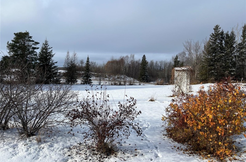 Rural Address, Porcupine Rm No. 395, Saskatchewan S0E 1H0, 3 Bedrooms Bedrooms, 14 Rooms Rooms,2 BathroomsBathrooms,Acreage,For Sale,Ottenbreit Acreage,Rural Address,SK988098