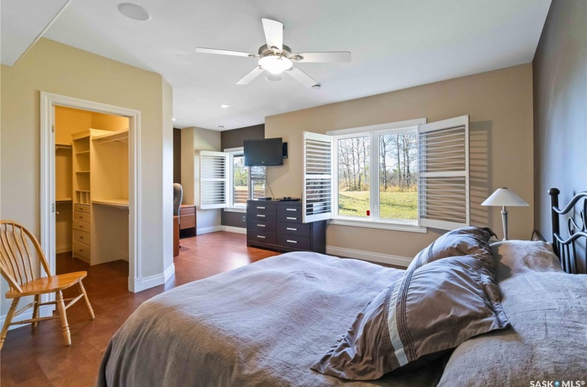 Bedroom with ceiling fan, a spacious closet, dark wood-type flooring, and a closet