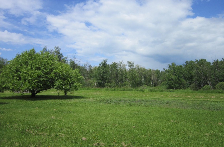 Rural Address, Willow Creek Rm No. 458, Saskatchewan S0E 1P0, 5 Bedrooms Bedrooms, 14 Rooms Rooms,3 BathroomsBathrooms,Acreage,For Sale,Wallington Acreage,Rural Address,SK993636