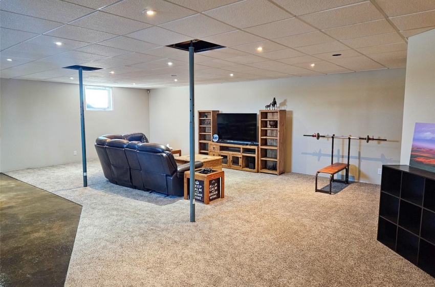 Carpeted living room with a drop ceiling