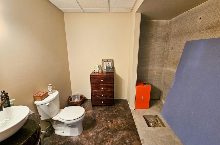 Bathroom featuring vanity, a drop ceiling, and toilet