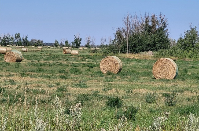 Rural Address, Corman Park Rm No. 344, Saskatchewan S7K 3J7, ,Farm,For Sale,Saskatoon 68 acres Land,Rural Address,SK993801