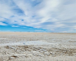 Rural Address, Caledonia Rm No. 99, Saskatchewan S0H 0G5, ,Farm,For Sale,Parry 318 Acres Grain Farmland,Rural Address,SK994088