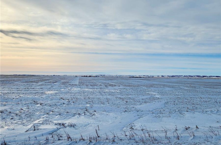 Rural Address, Caledonia Rm No. 99, Saskatchewan S0H 0G5, ,Farm,For Sale,Parry 318 Acres Grain Farmland,Rural Address,SK994088