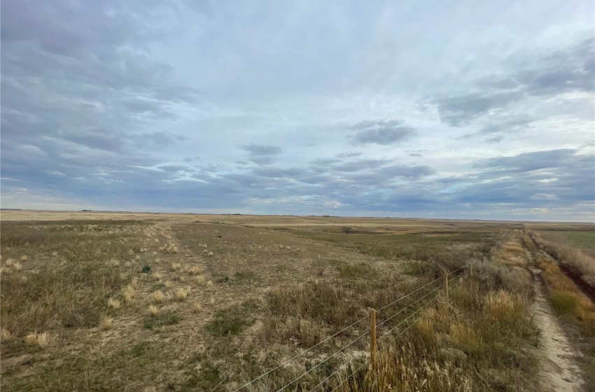 Rural Address, Fertile Valley Rm No. 285, Saskatchewan S0L 0L0, ,Farm,For Sale,Conquest 784.7 acres Hay and Pastureland,Rural Address,SK985917