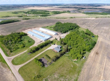 Rural Address, Saltcoats Rm No. 213, Saskatchewan S0A 0B2, ,Farm,For Sale,Poultry Farm Saskatchewan 142ac,Rural Address,SK994202