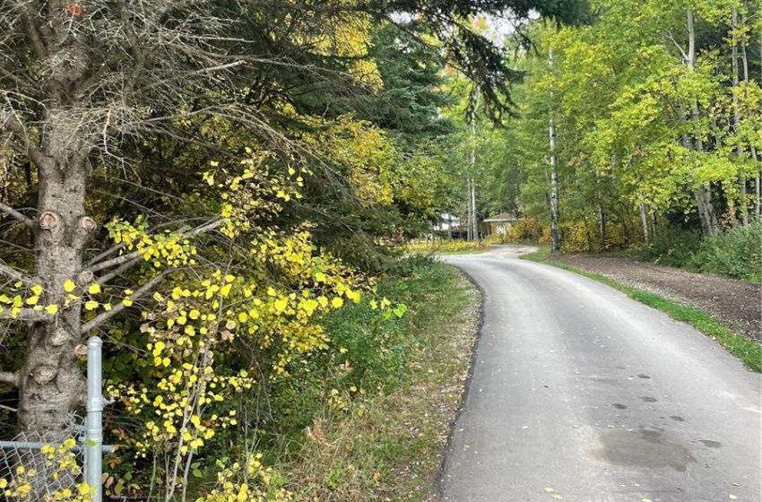 Paved secluded drive way