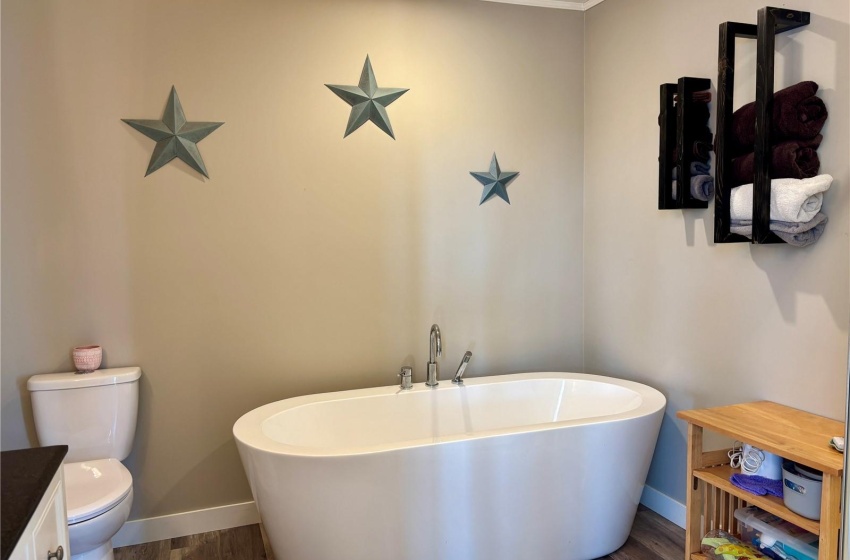 Bathroom with toilet, wood-type flooring, ornamental molding, vanity, and a washtub