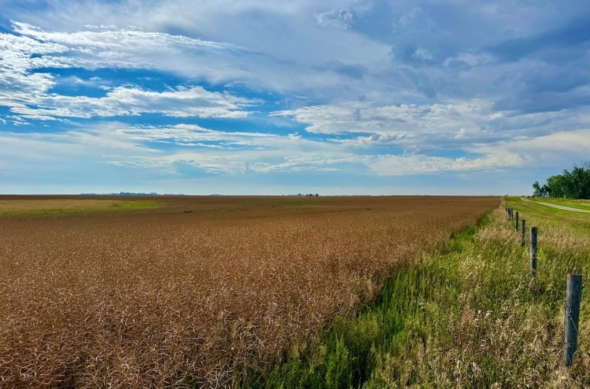 Rural Address, Griffin Rm No. 66, Saskatchewan S0C 1G0, ,Farm,For Sale,Griffin 626 Acres Grain Farmland,Rural Address,SK995921