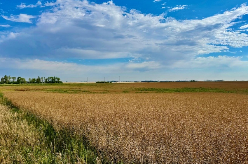 Rural Address, Griffin Rm No. 66, Saskatchewan S0C 1G0, ,Farm,For Sale,Griffin 626 Acres Grain Farmland,Rural Address,SK995921