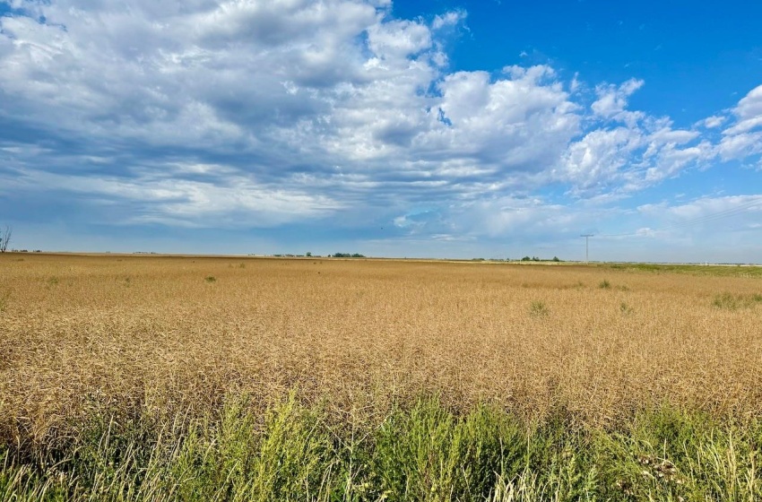 Rural Address, Griffin Rm No. 66, Saskatchewan S0C 1G0, ,Farm,For Sale,Griffin 626 Acres Grain Farmland,Rural Address,SK995921