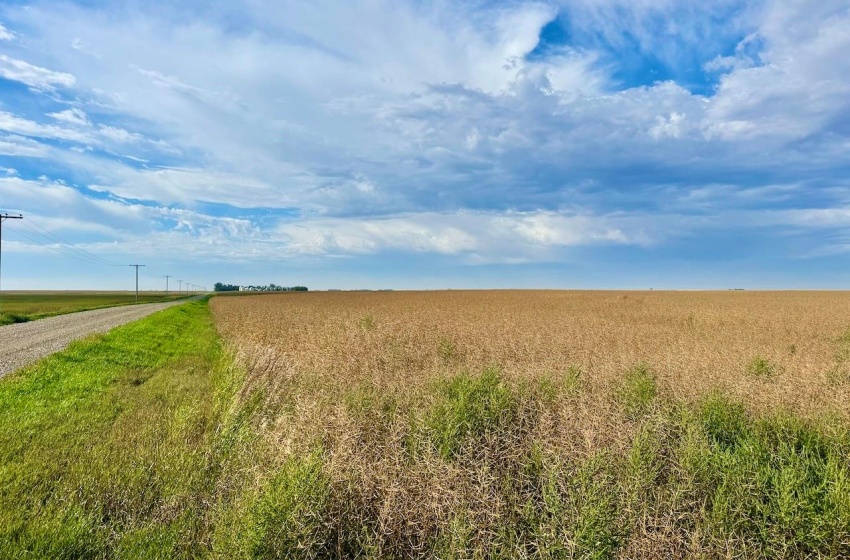 Rural Address, Griffin Rm No. 66, Saskatchewan S0C 1G0, ,Farm,For Sale,Griffin 626 Acres Grain Farmland,Rural Address,SK995921