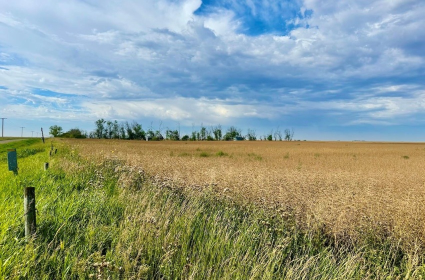 Rural Address, Griffin Rm No. 66, Saskatchewan S0C 1G0, ,Farm,For Sale,Griffin 626 Acres Grain Farmland,Rural Address,SK995921