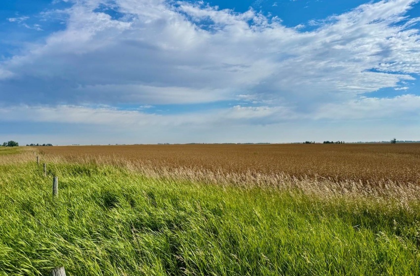 Rural Address, Griffin Rm No. 66, Saskatchewan S0C 1G0, ,Farm,For Sale,Griffin 626 Acres Grain Farmland,Rural Address,SK995921